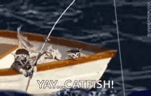 catfishing gif|catfishing meme.